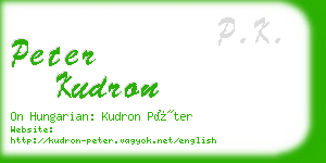 peter kudron business card